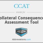 Collateral Consequences Assessment Tool logo